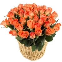 48 roses, Basket of Orange