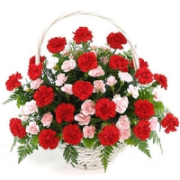 Carnations Wishes Basket