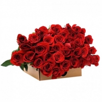 Bunch of 36 Long Stem Red Roses