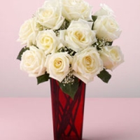 Vase of White roses
