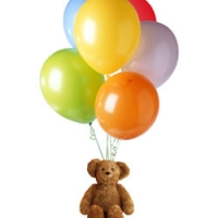 balloon w/bear 2