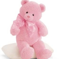 24 inches Pink Teddy