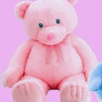 36 inches Pink Teddy