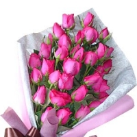 2 Dozen Pink Roses Bouquet